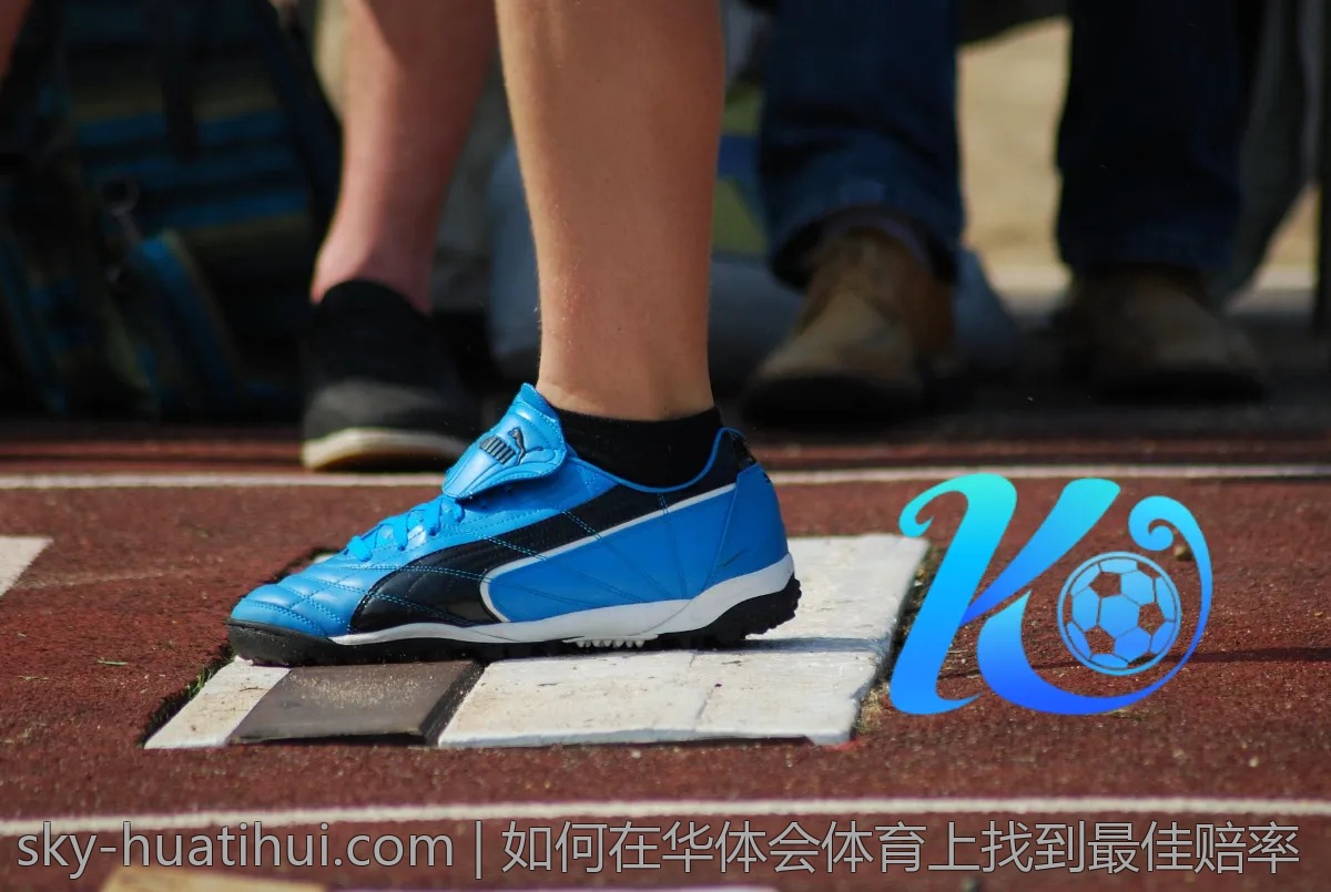 成功用户分享：如何在华体会上实现盈利？