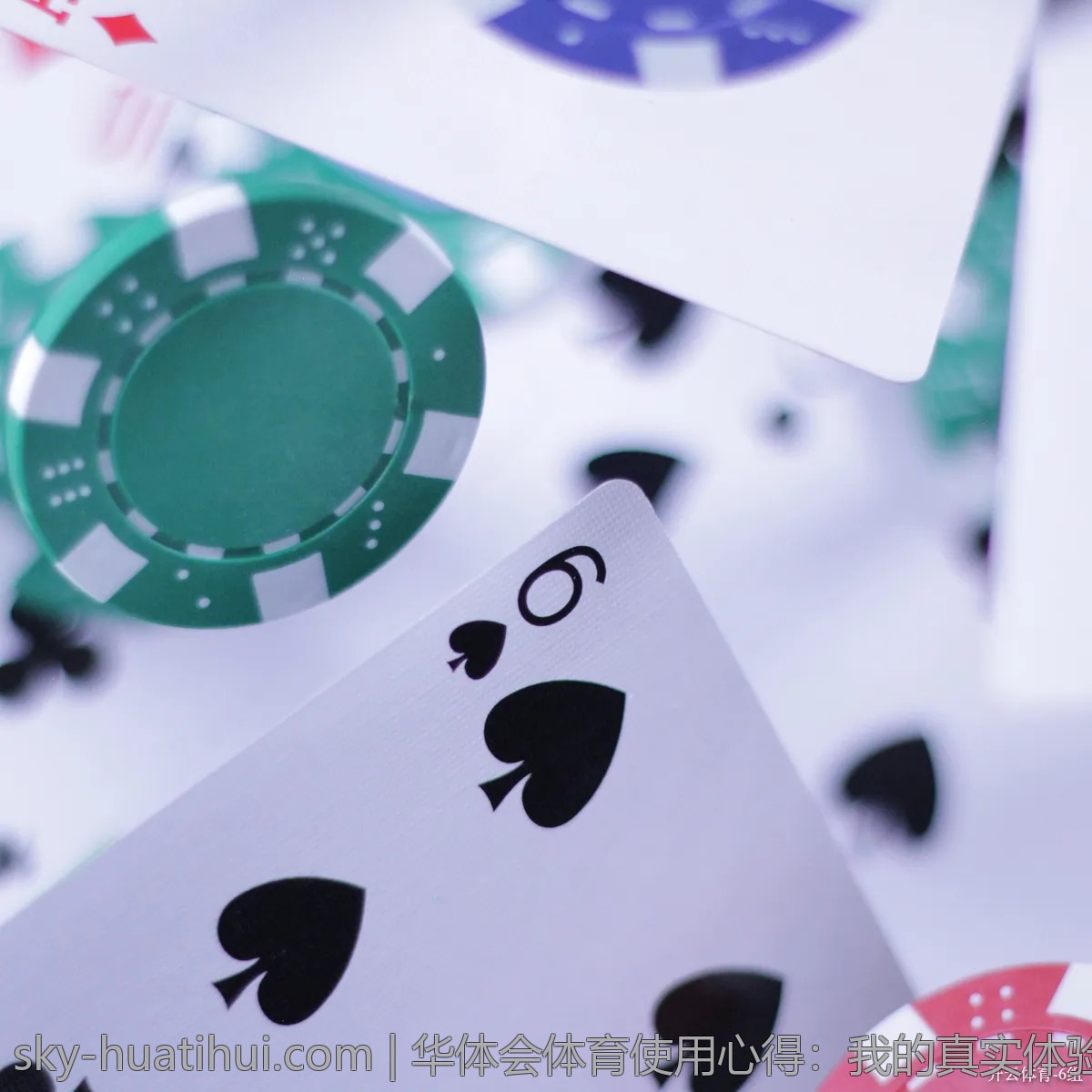 华体会体育使用心得：我的真实体验分享
