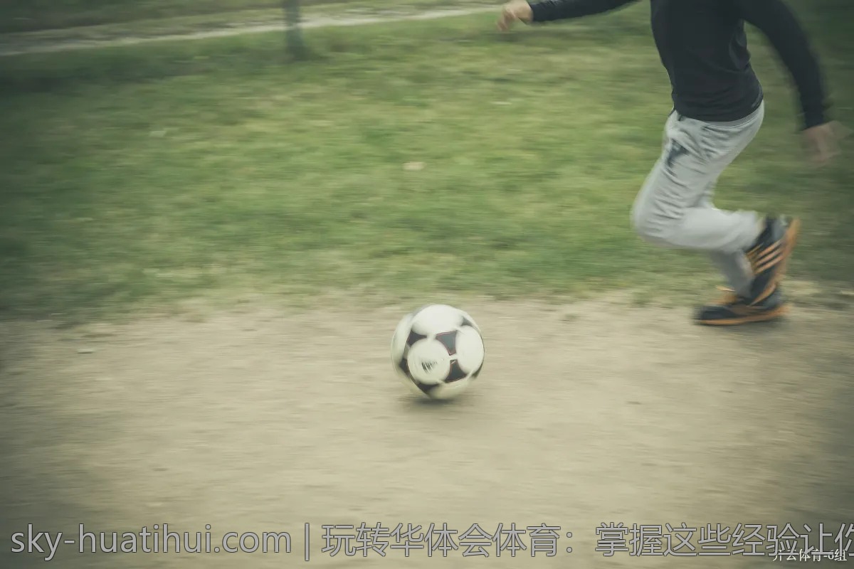 玩转华体会体育：掌握这些经验让你游刃有余