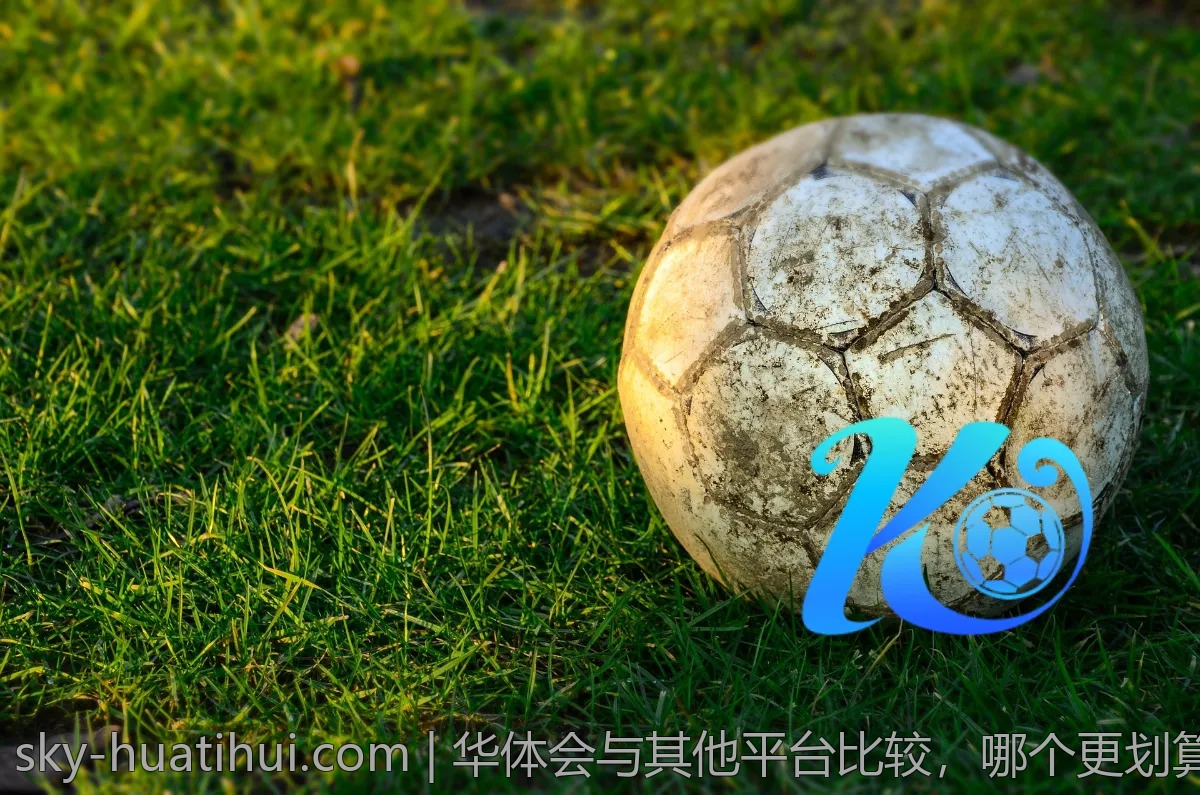 华体会与其他平台比较，哪个更划算？