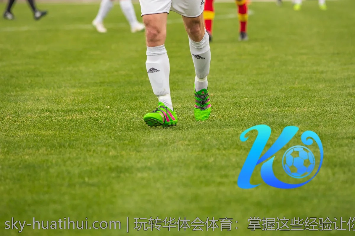 解析华体会体育的界面设置与使用便利