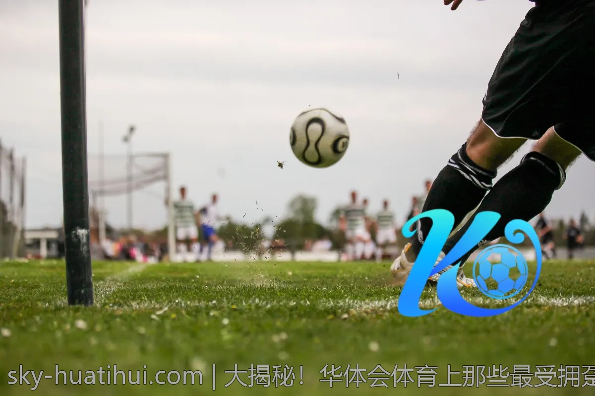 大揭秘！华体会体育上那些最受拥趸的赛事与活动
