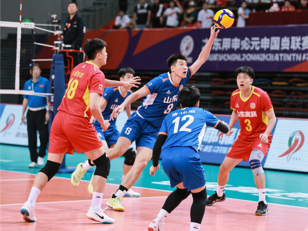 前交叉韧带 前交叉韧带